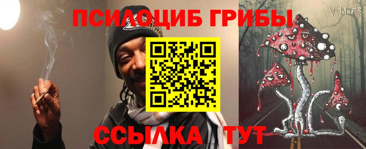 Псилоцибиновые грибы Psilocybine cubensis Светлоград
