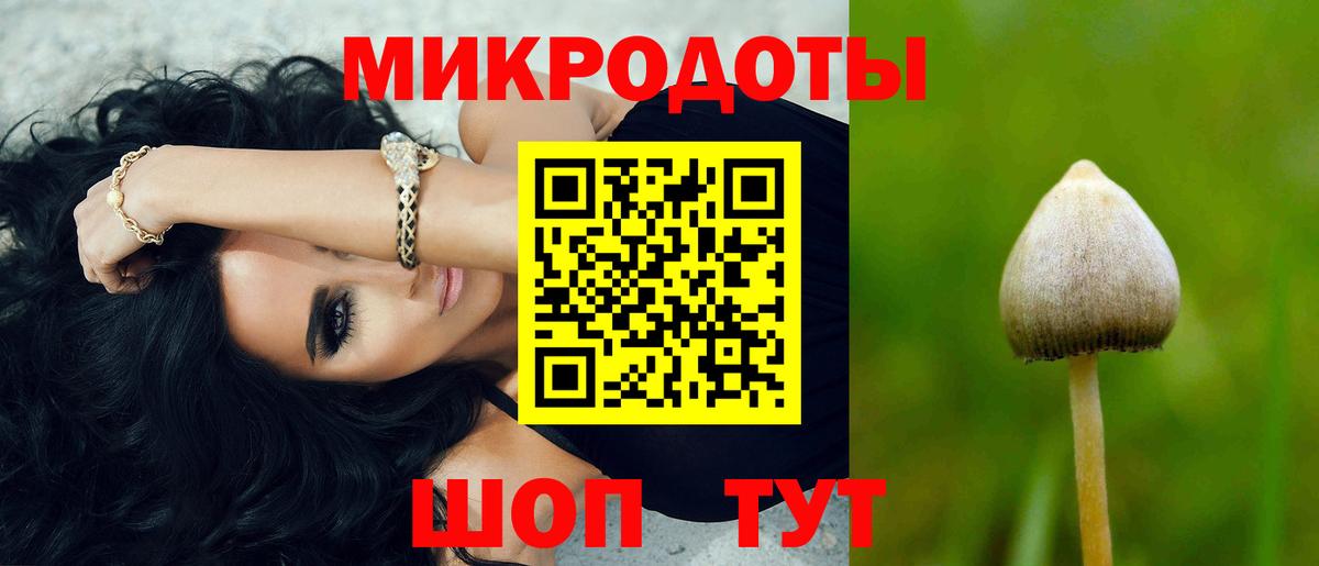 Светлоград  Галлюциногенные грибы Cubensis  Вход с VPN 